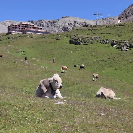 Residenz Darianne Διαμέρισμα Leukerbad