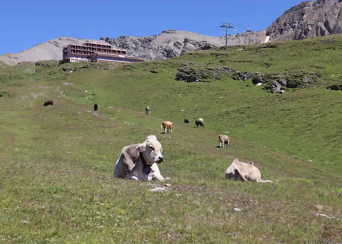 Residenz Darianne Apartman Leukerbad